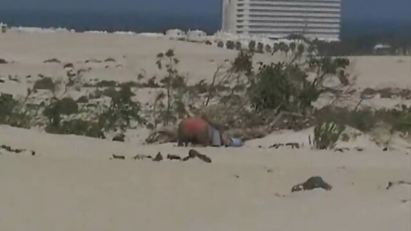 Blonde die ervan houdt om nederlandse sexfilm gratis aan een lul te trekken, krijgt er een in haar strakke kont